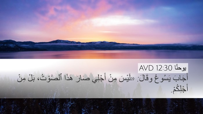 يوحنَّا 12:30 AVD Bible Verse Image