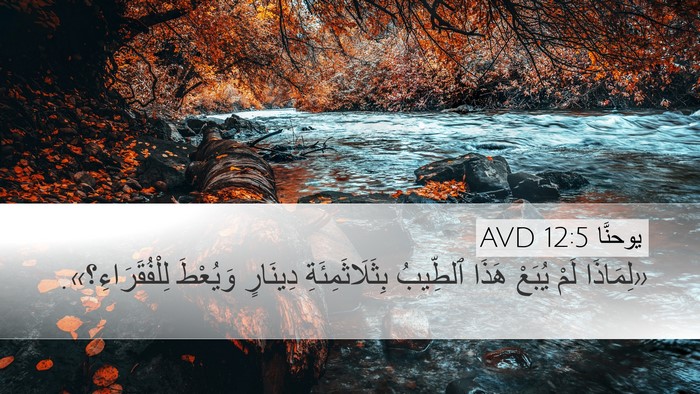 يوحنَّا 12:5 AVD Bible Verse Image