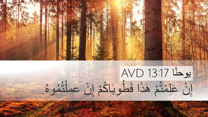 يوحنَّا 13:17 AVD Bible Verse Image