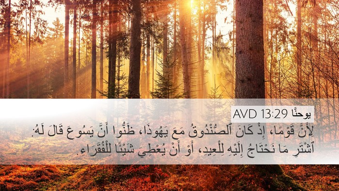 يوحنَّا 13:29 AVD Bible Verse Image