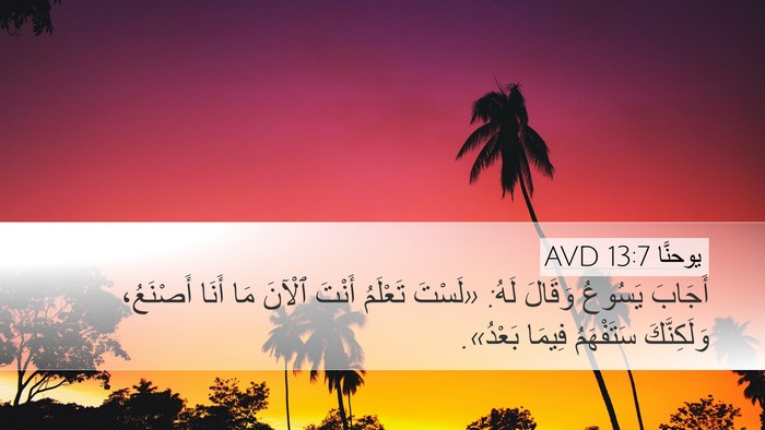 يوحنَّا 13:7 AVD Bible Verse Image