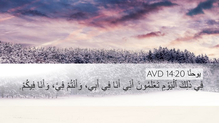 يوحنَّا 14:20 AVD Bible Verse Image