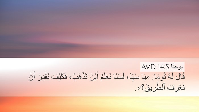 يوحنَّا 14:5 AVD Bible Verse Image