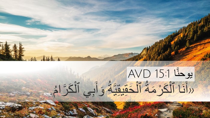 يوحنَّا 15:1 AVD Bible Verse Image