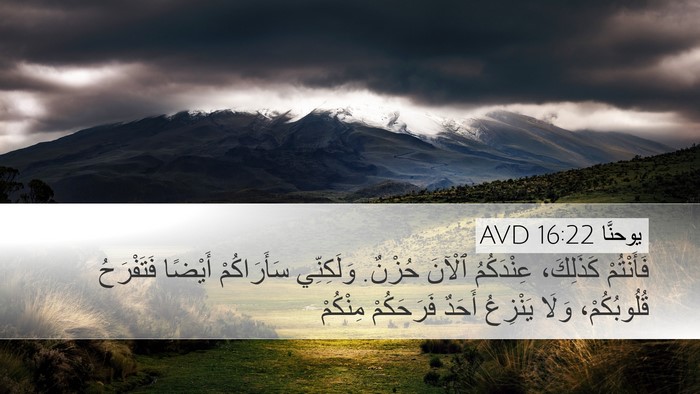 يوحنَّا 16:22 AVD Bible Verse Image