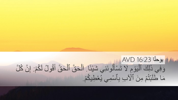 يوحنَّا 16:23 AVD Bible Verse Image
