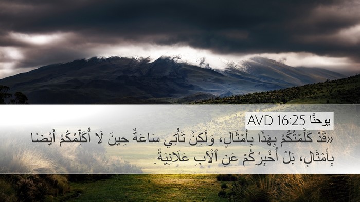 يوحنَّا 16:25 AVD Bible Verse Image