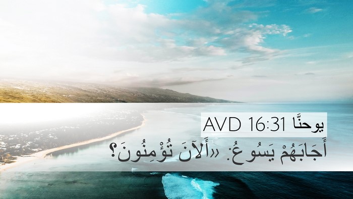 يوحنَّا 16:31 AVD Desktop Wallpaper - أَجَابَهُمْ يَسُوعُ: - Desktop Bible Verse Wallpaper