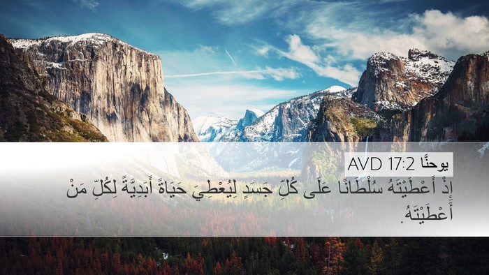 يوحنَّا 17:2 AVD Bible Verse Image