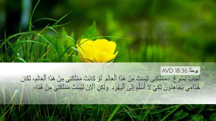 يوحنَّا 18:36 AVD Bible Verse Image