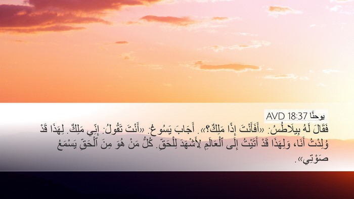 يوحنَّا 18:37 AVD Bible Verse Image