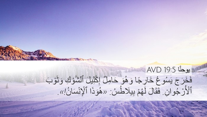 يوحنَّا 19:5 AVD Bible Verse Image