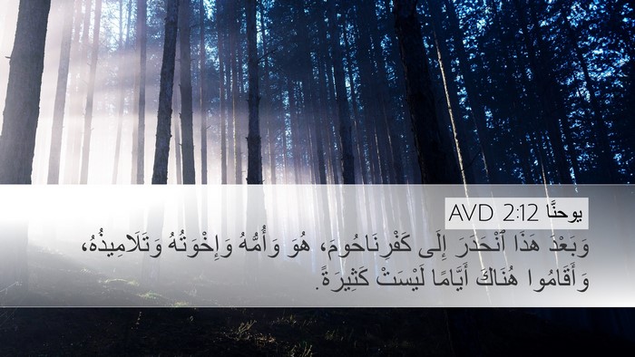 يوحنَّا 2:12 AVD Bible Verse Image