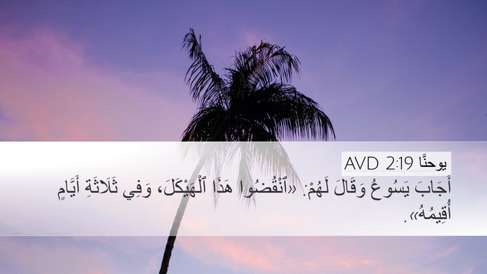 يوحنَّا 2:19 AVD Bible Verse Image