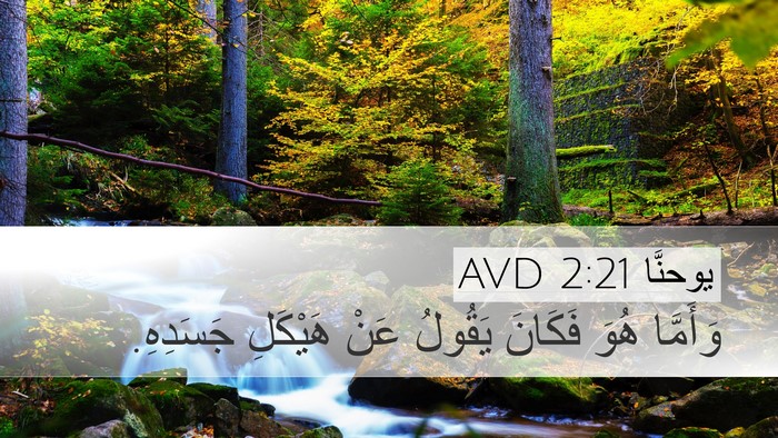 يوحنَّا 2:21 AVD Bible Verse Image