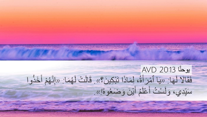 يوحنَّا 20:13 AVD Bible Verse Image