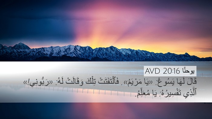 يوحنَّا 20:16 AVD Bible Verse Image