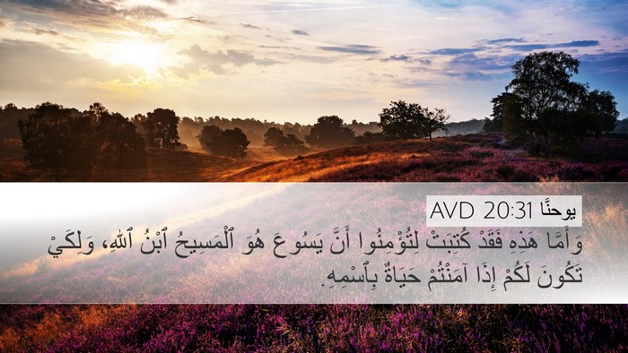 يوحنَّا 20:31 AVD Bible Verse Image