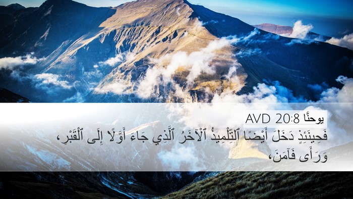 يوحنَّا 20:8 AVD Bible Verse Image