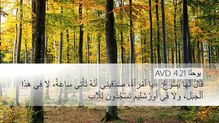 يوحنَّا 4:21 AVD Bible Verse Image