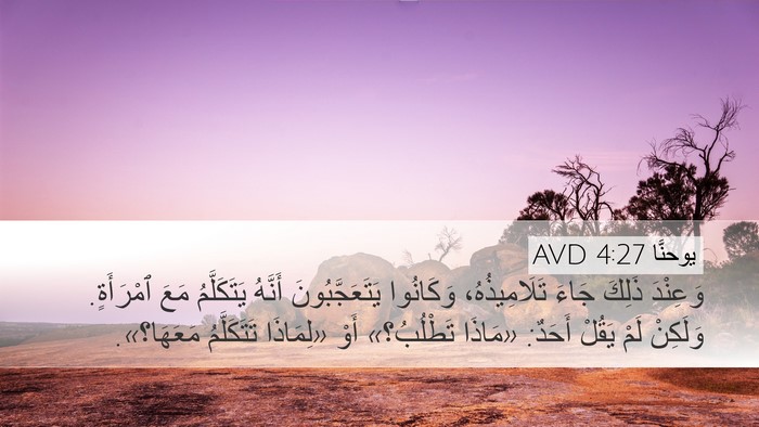 يوحنَّا 4:27 AVD Bible Verse Image
