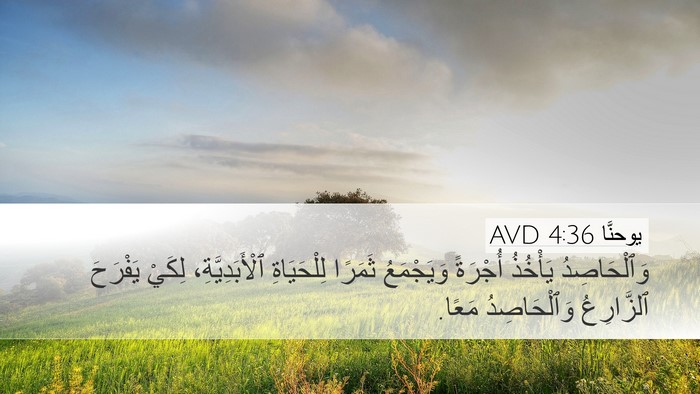 يوحنَّا 4:36 AVD Bible Verse Image