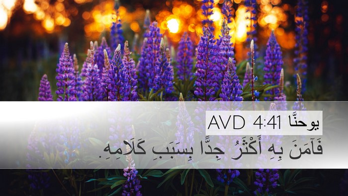 يوحنَّا 4:41 AVD Bible Verse Image