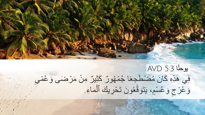 يوحنَّا 5:3 AVD Desktop Wallpaper - فِي هَذِهِ كَانَ - Desktop Bible Verse Wallpaper