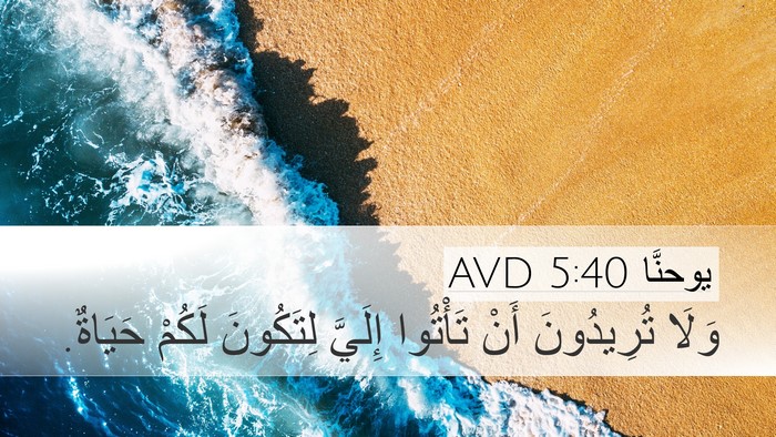 يوحنَّا 5:40 AVD Bible Verse Image