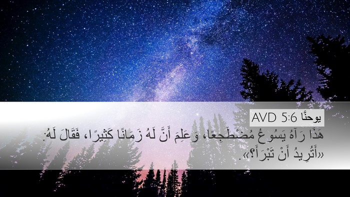 يوحنَّا 5:6 AVD Desktop Wallpaper - هَذَا رَآهُ يَسُوعُ - Desktop Bible Verse Wallpaper