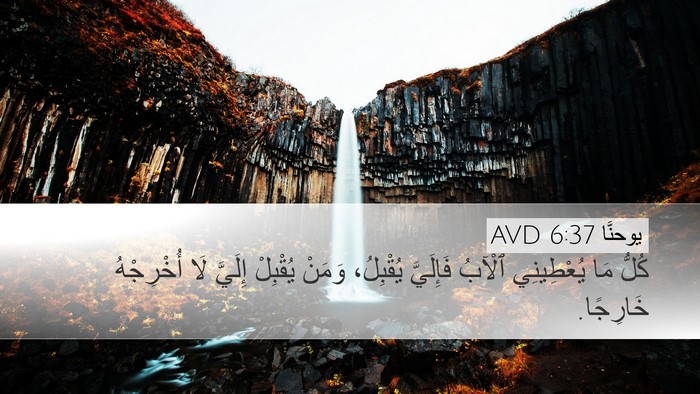 يوحنَّا 6:37 AVD Bible Verse Image