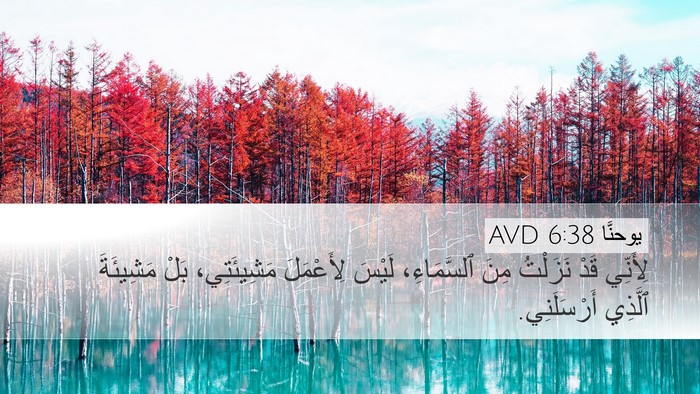 يوحنَّا 6:38 AVD Bible Verse Image