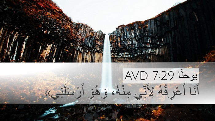 يوحنَّا 7:29 AVD Bible Verse Image