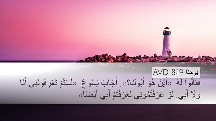 يوحنَّا 8:19 AVD Bible Verse Image
