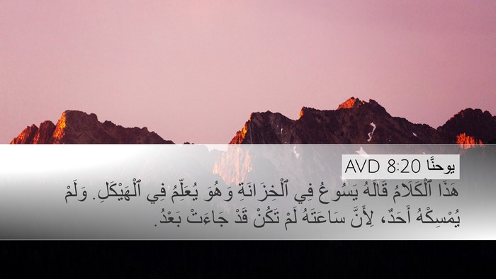 يوحنَّا 8:20 AVD Bible Verse Image