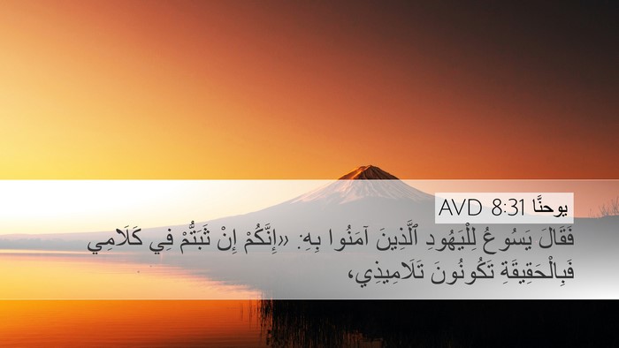 يوحنَّا 8:31 AVD Bible Verse Image