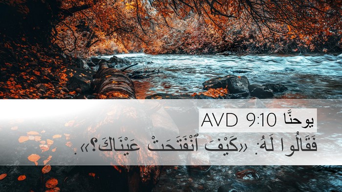 يوحنَّا 9:10 AVD Bible Verse Image