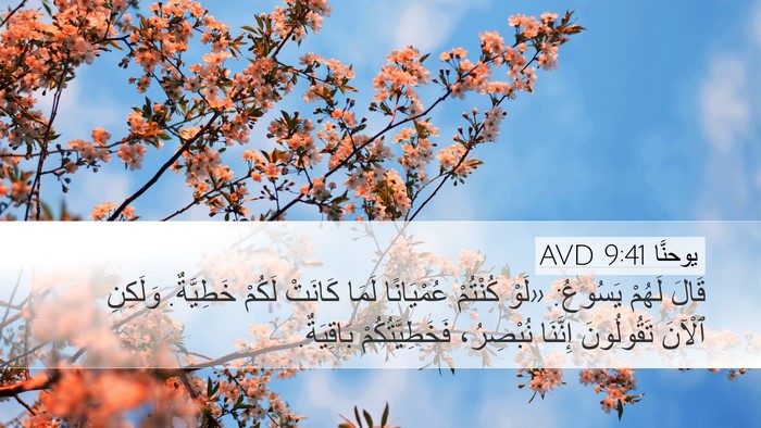 يوحنَّا 9:41 AVD Bible Verse Image