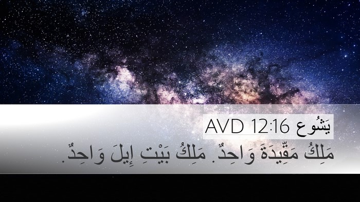 يَشُوع 12:16 AVD Bible Verse Image