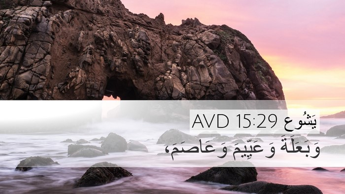 يَشُوع 15:29 AVD Desktop Wallpaper - وَبَعَلَةَ وَعَيِّيمَ - Desktop Bible Verse Wallpaper