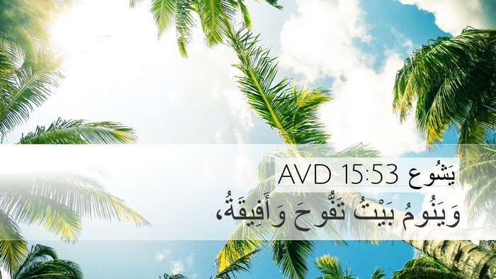 يَشُوع 15:53 AVD Bible Verse Image