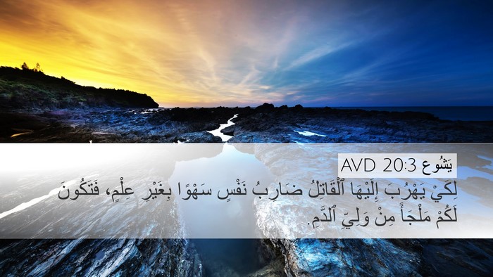 يَشُوع 20:3 AVD Desktop Wallpaper - لِكَيْ يَهْرُبَ إِلَيْهَا - Desktop Bible Verse Wallpaper