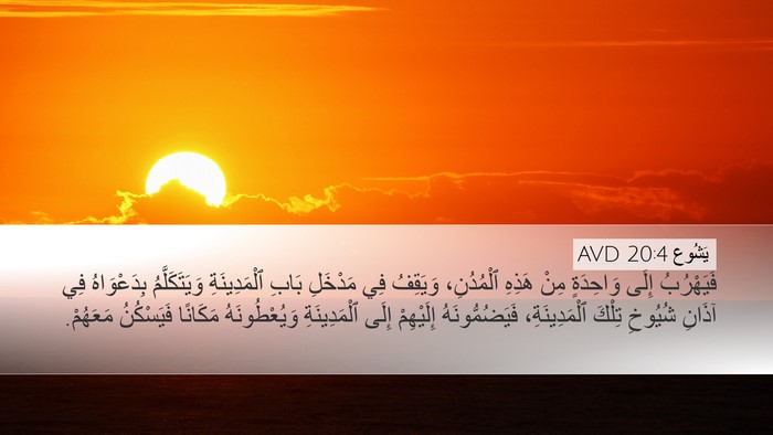 يَشُوع 20:4 AVD Bible Verse Image