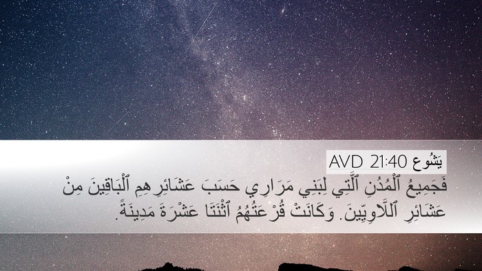 يَشُوع 21:40 AVD Desktop Wallpaper - فَجَمِيعُ ٱلْمُدُنِ - Desktop Bible Verse Wallpaper