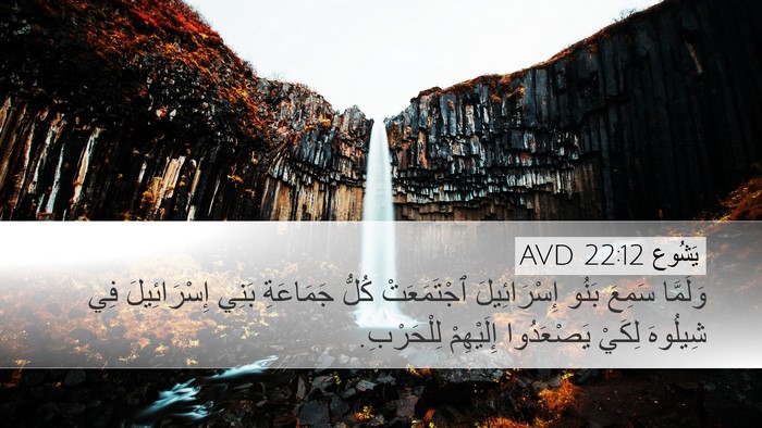 يَشُوع 22:12 AVD Bible Verse Image