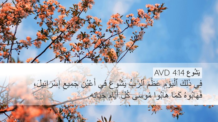 يَشُوع 4:14 AVD Bible Verse Image