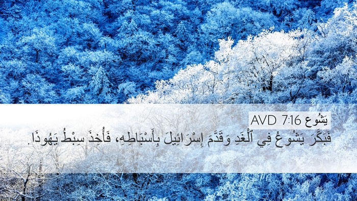 يَشُوع 7:16 AVD Bible Verse Image