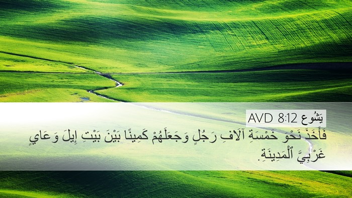 يَشُوع 8:12 AVD Bible Verse Image