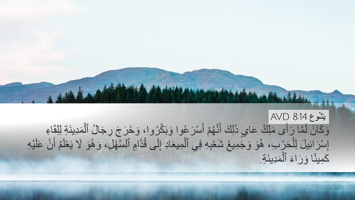يَشُوع 8:14 AVD Bible Verse Image