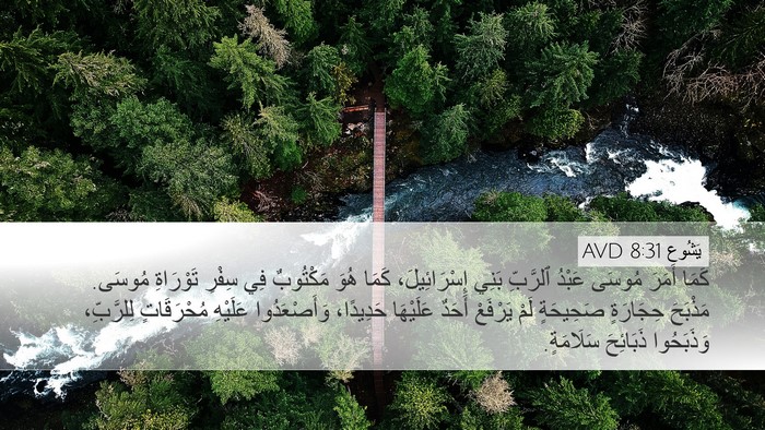 يَشُوع 8:31 AVD Bible Verse Image